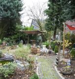 Garten_BeWo3.jpg